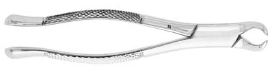 Extracting Forceps
