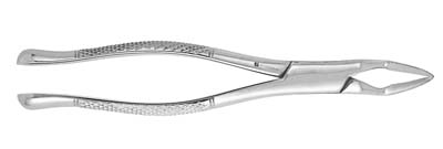 Extracting Forceps