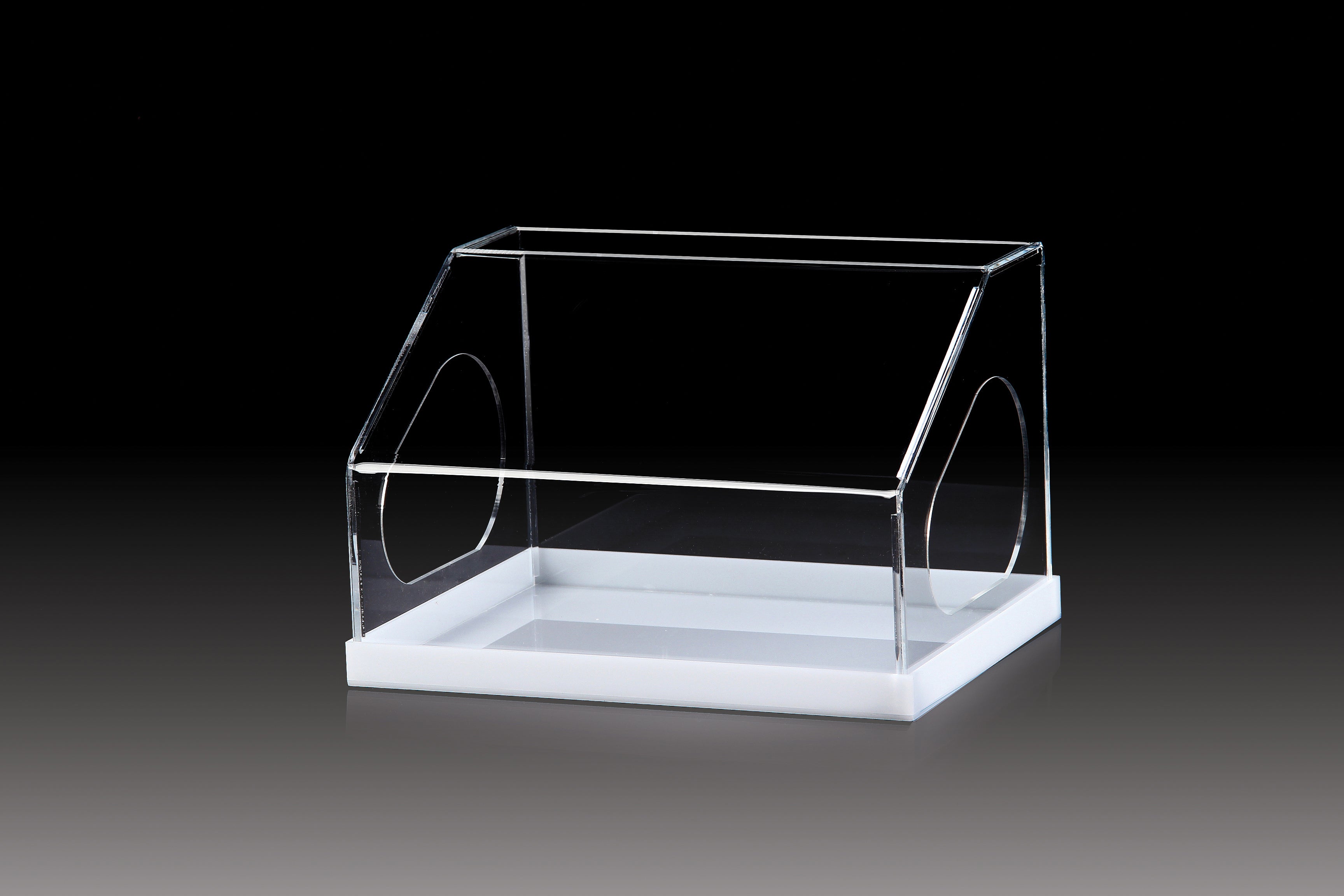 Plasdent - Other Organizers