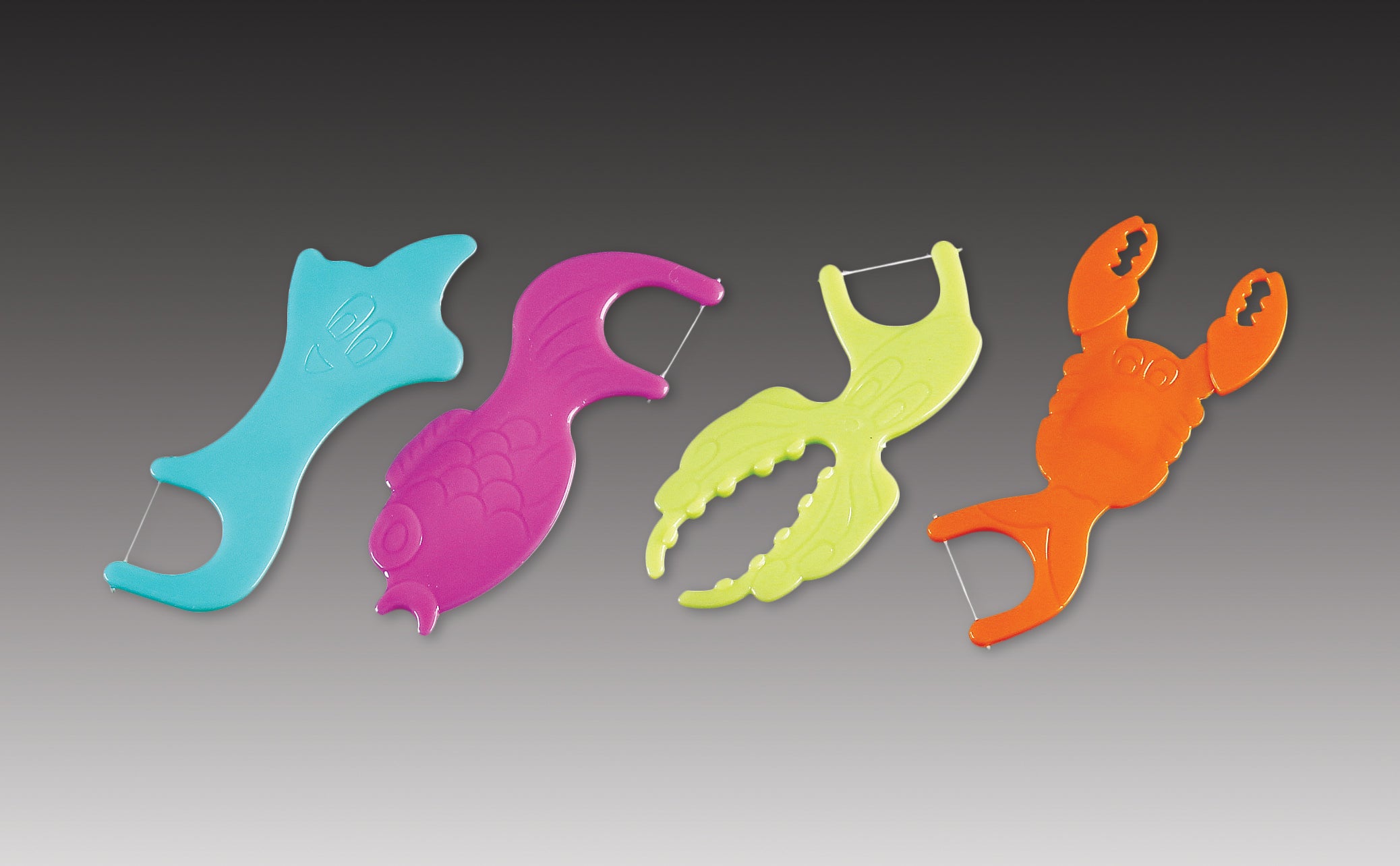 Plasdent Oral Hygiene Products