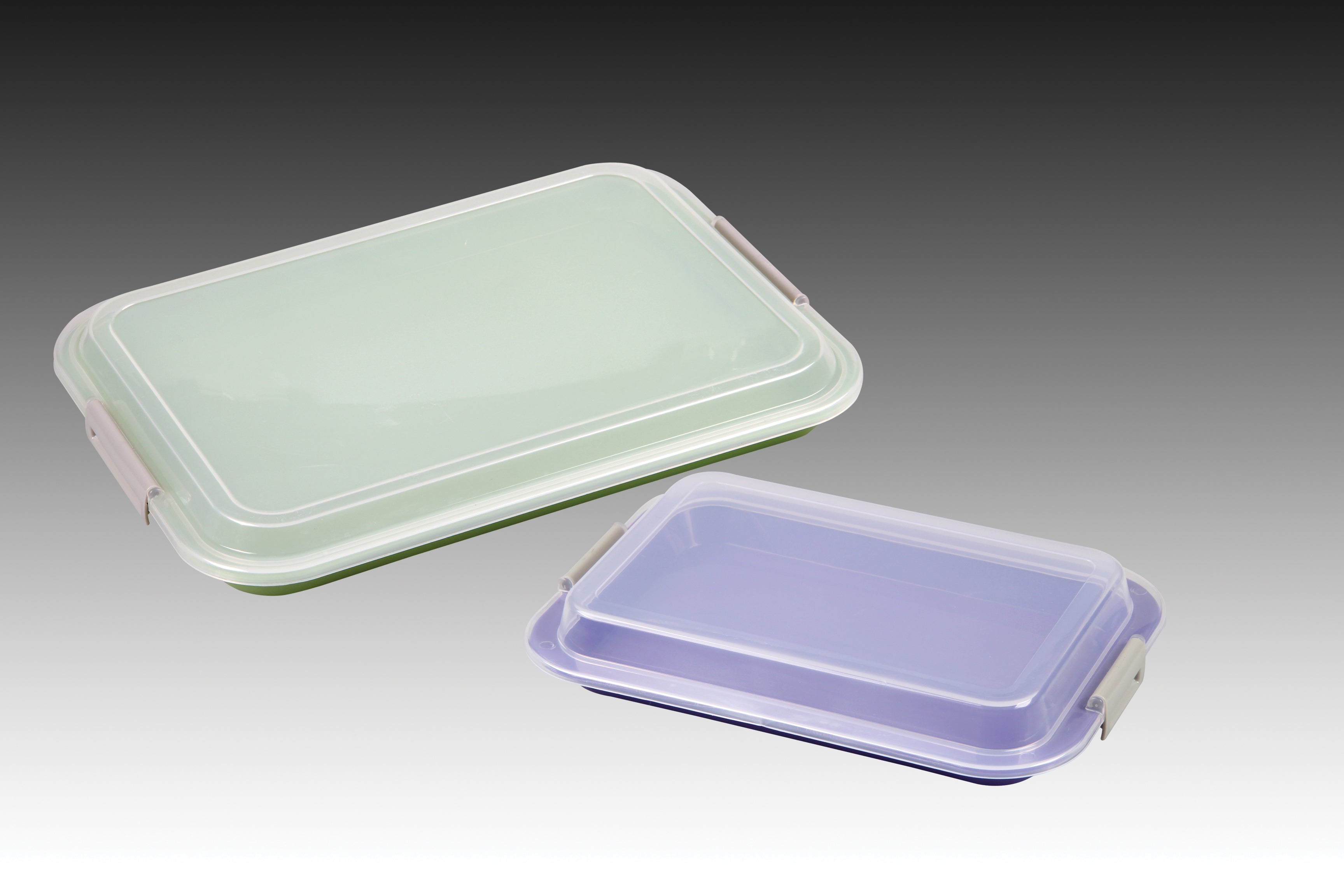 Plasdent Lockable Size "F" Tray & Tray Cover