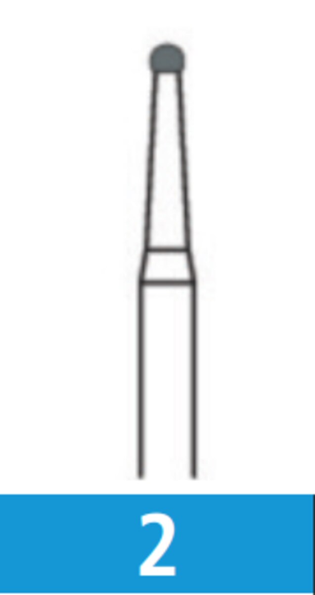 Carbide Burs FG