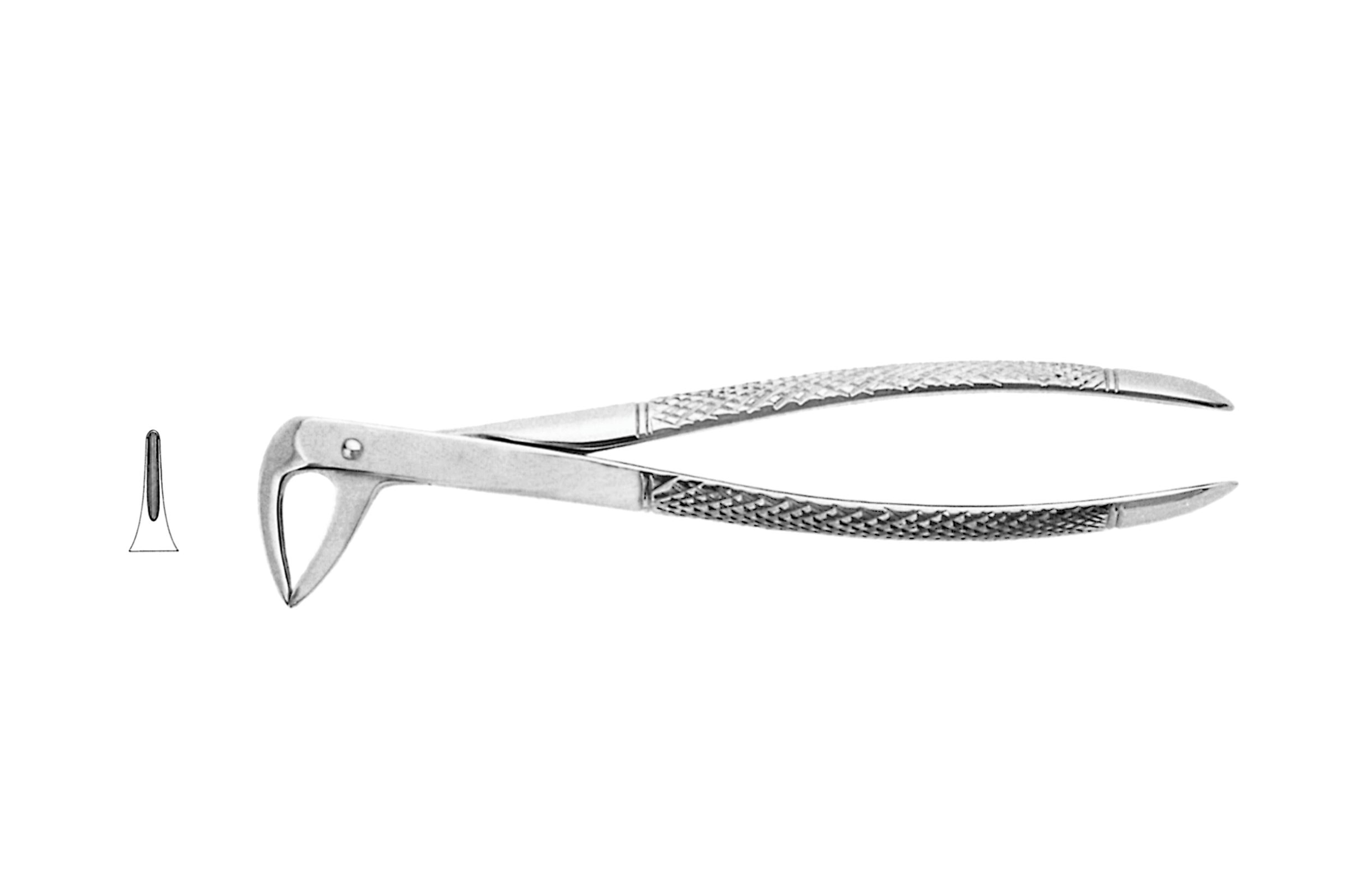Extracting Forceps
