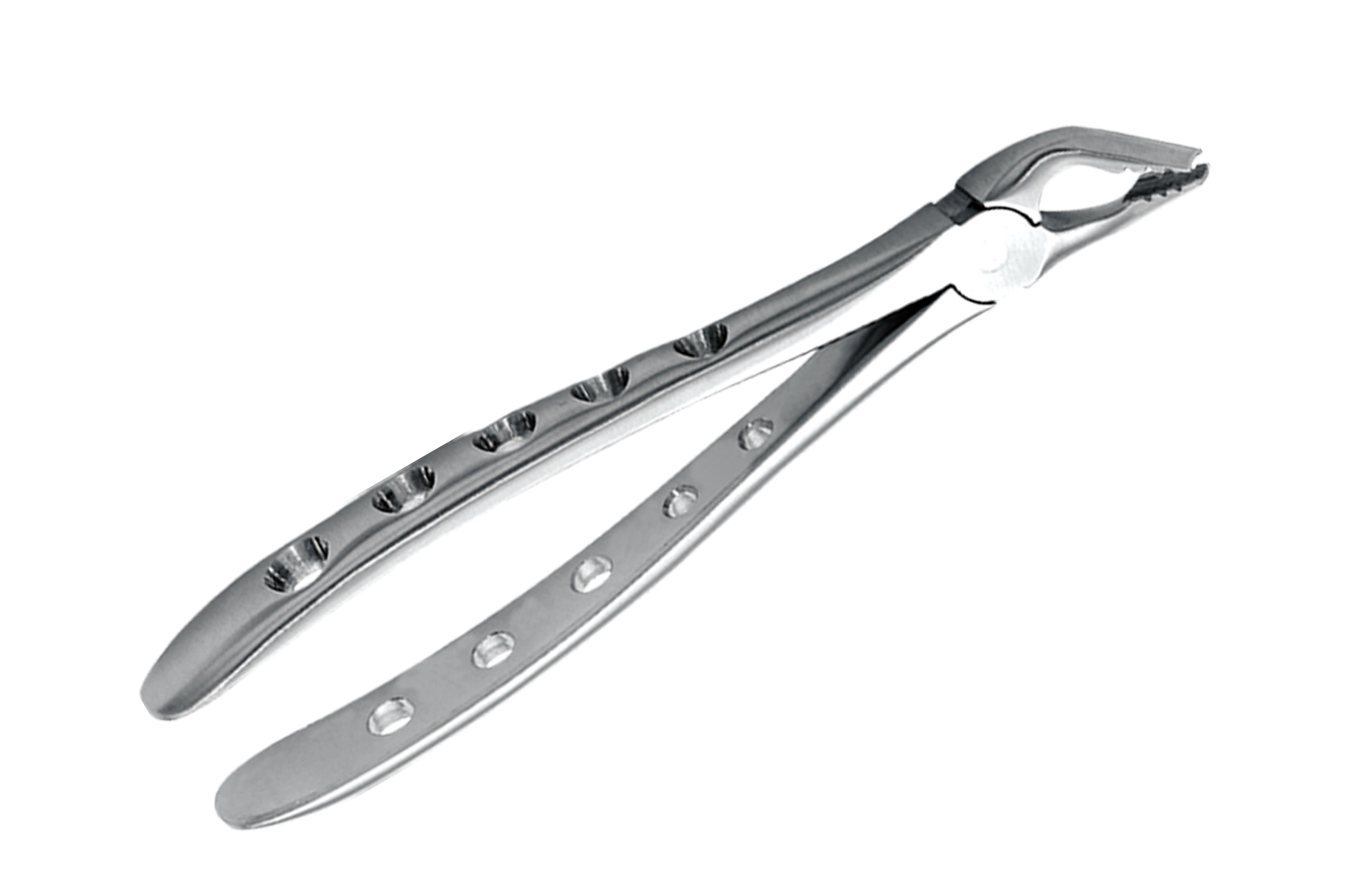 Basic Apical Extracting Kit