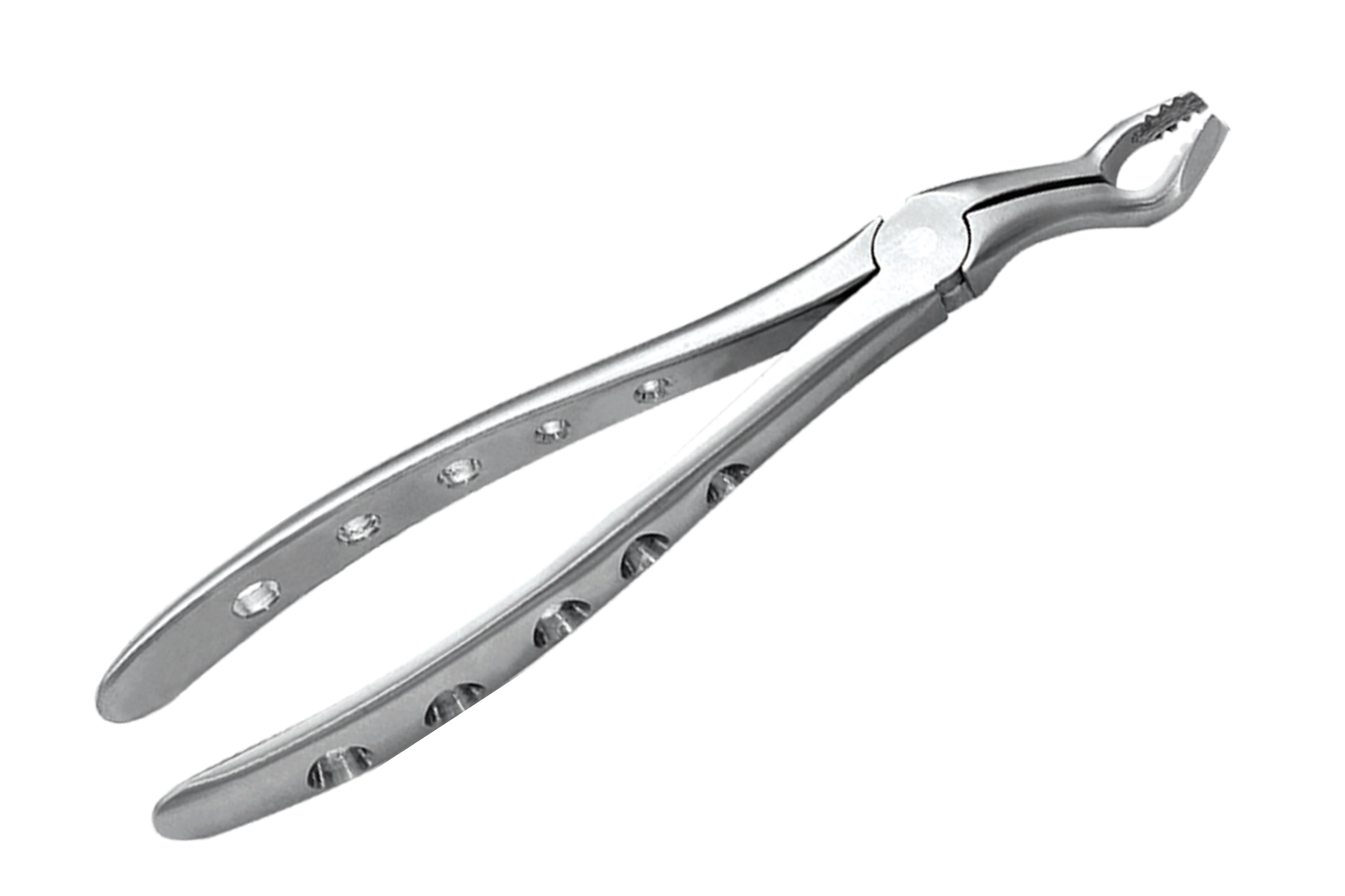 Basic Apical Extracting Kit