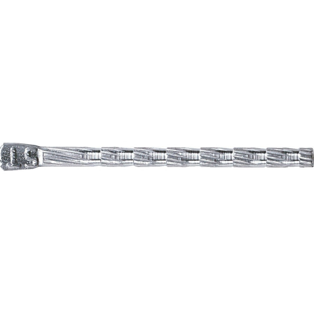 ParaPost Plus Titanium Posts