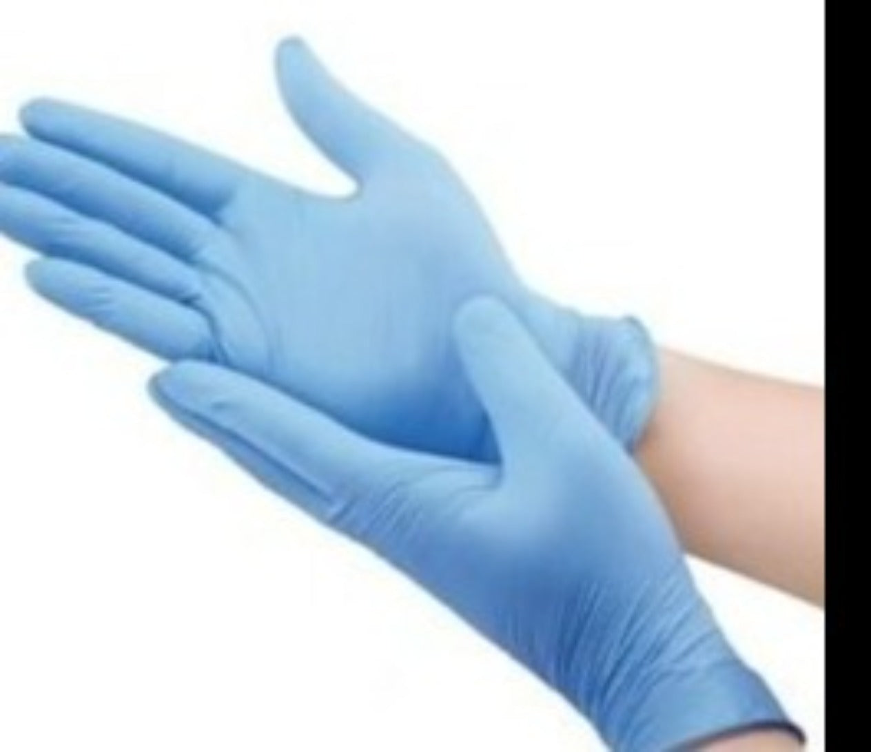 Essentials One Nitrile PF Gloves