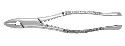 Extracting Forceps