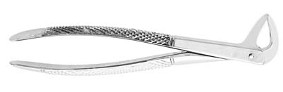 Extracting Forceps