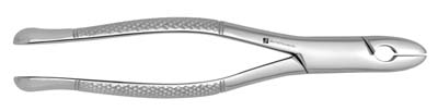 Extracting Forceps