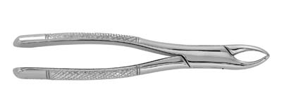 Extracting Forceps