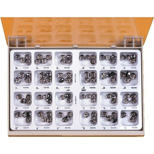 Permanent Molar Crowns Stainless Steel