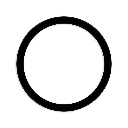 Plaster Trap Gasket
