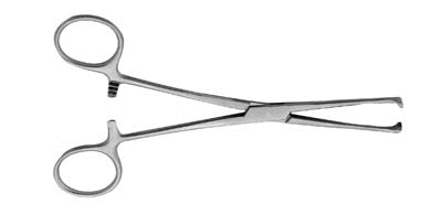 Tissue Forceps