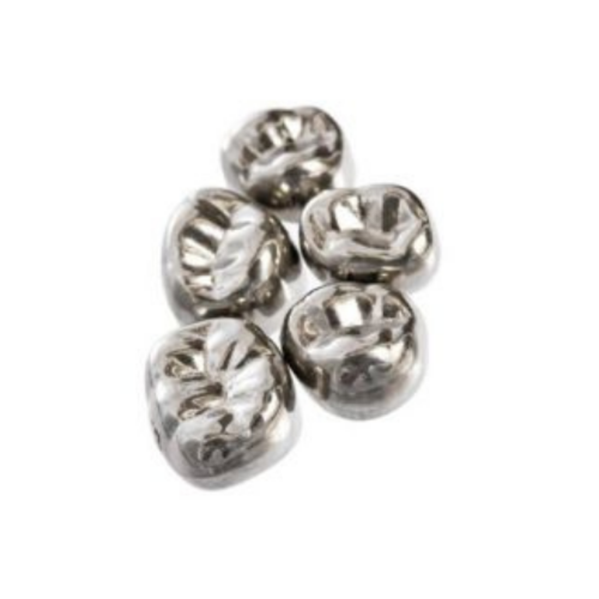 Evolve Pediatric Stainless Steel Crowns (Primary Anterior Cuspid - Lower)