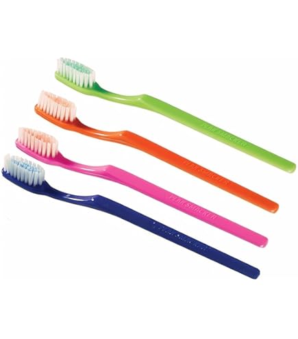 Adult Denture Brushes 12/Bag