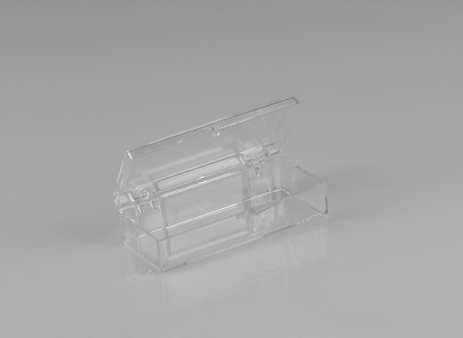 Clear Hinged Box (2 7/8" x 1 3/16" x 1")