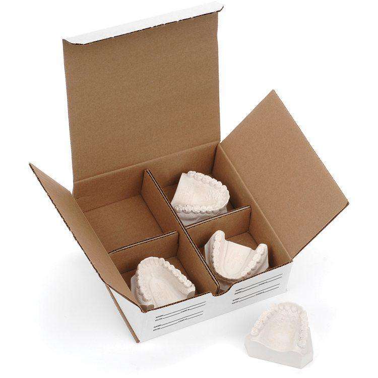 Model Storage Box 25Ea