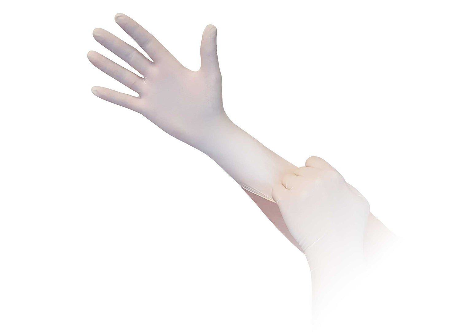 Aurelia Latex Powder Free Polymer Coated Gloves - Distinct