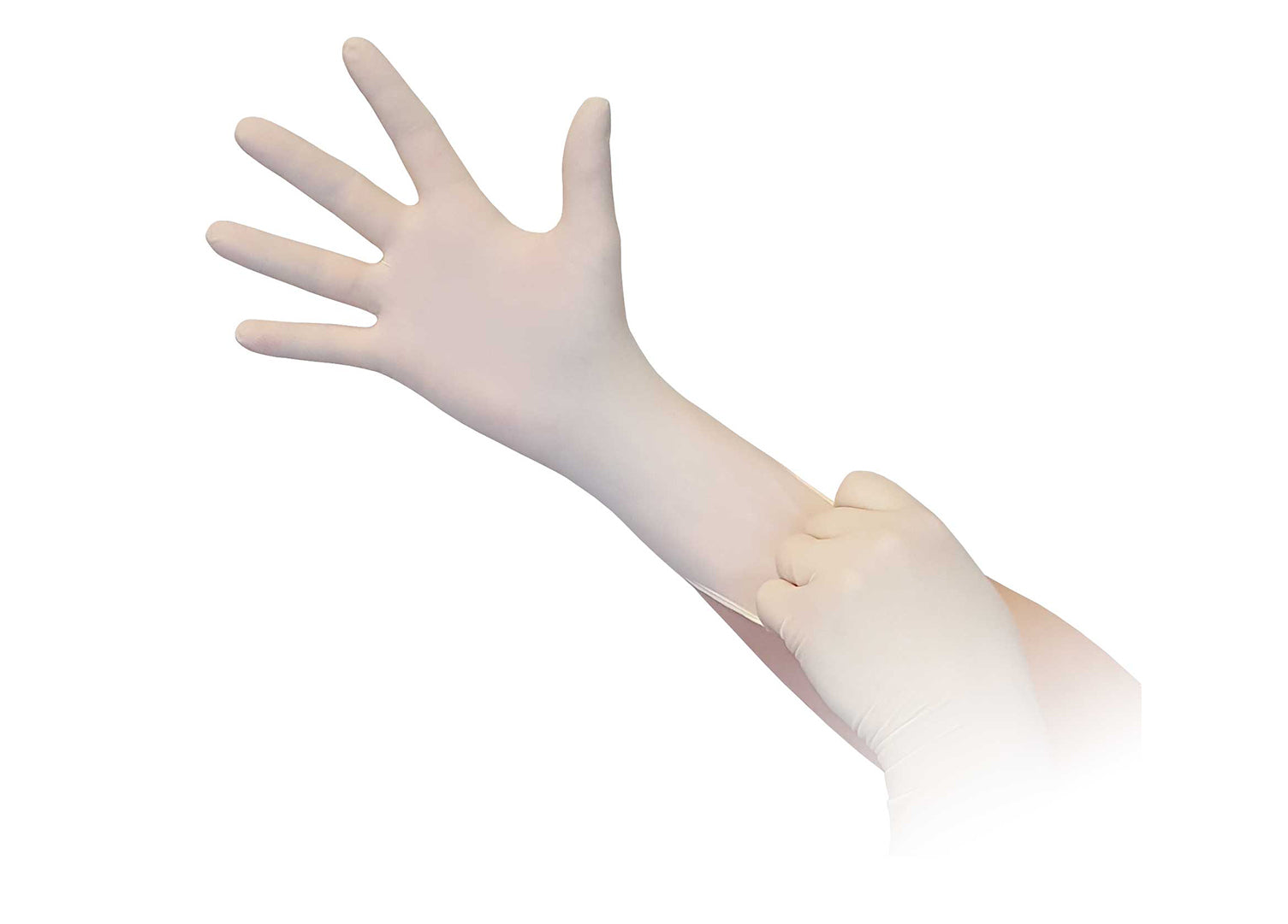 Aurelia Latex Powder Free Chlorinated Gloves - Vibrant