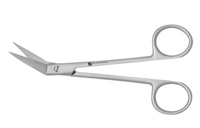 Strombus Scissors Scissors